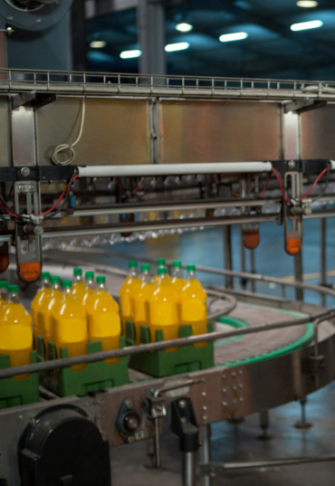 Soluciones logísticas personalizadas en México